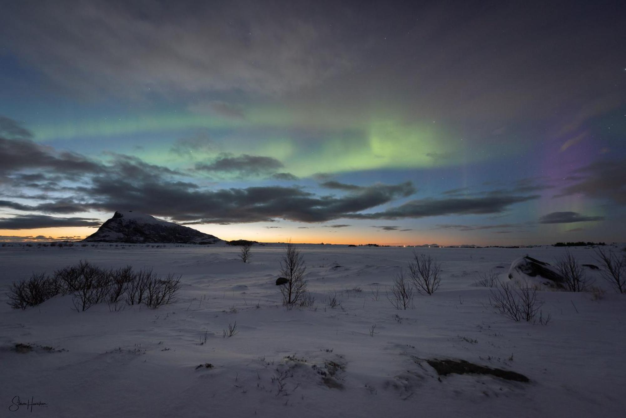 Midnightsun Aurora Golf Horses