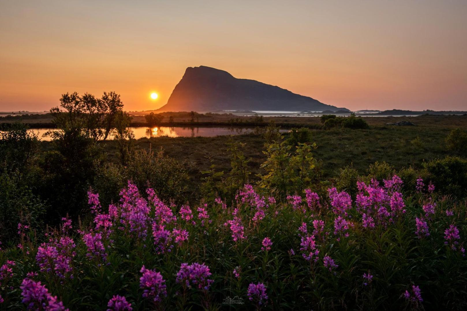 Midnightsun Aurora Golf Horses Holiday home Gimsoy