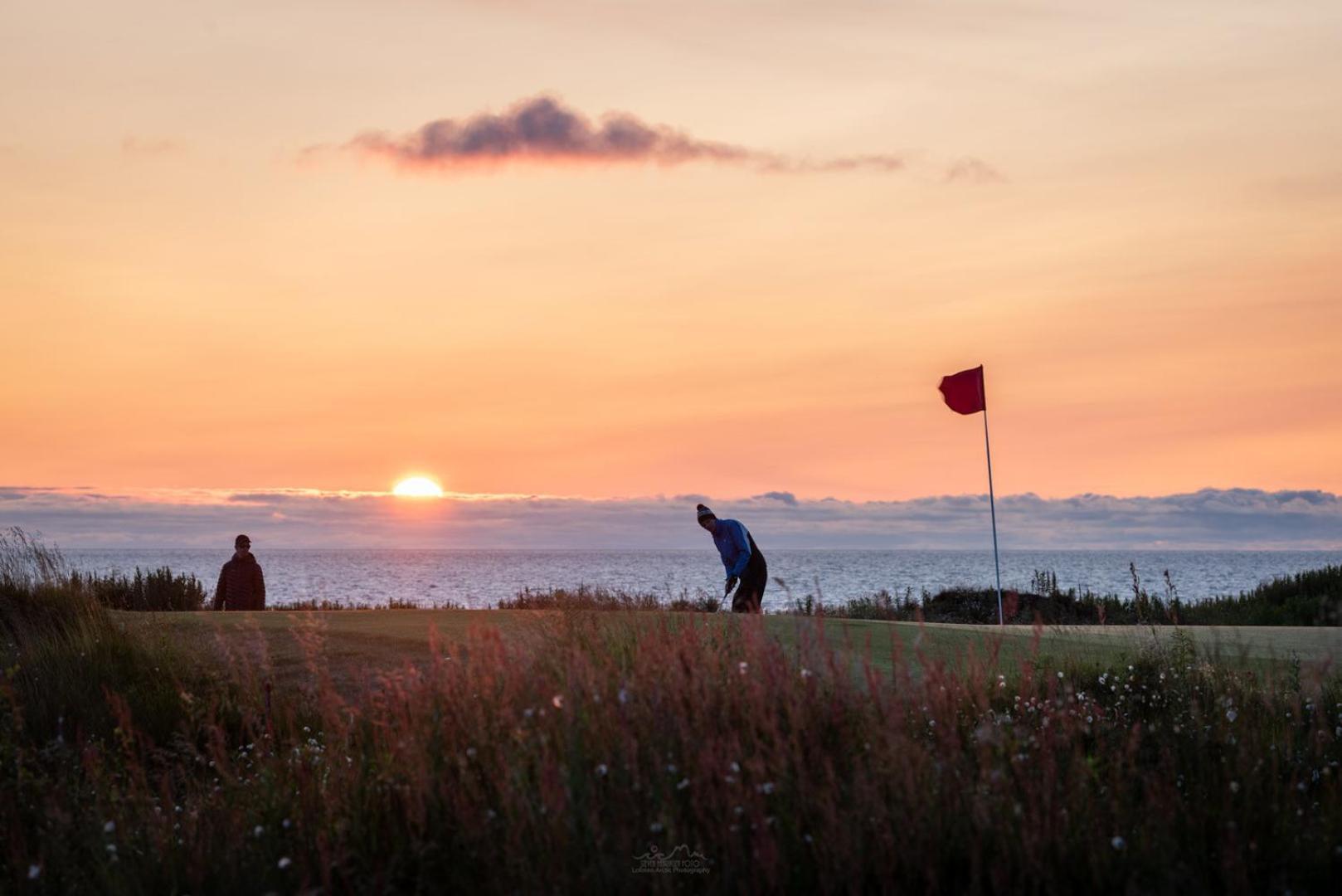 Midnightsun Aurora Golf Horses