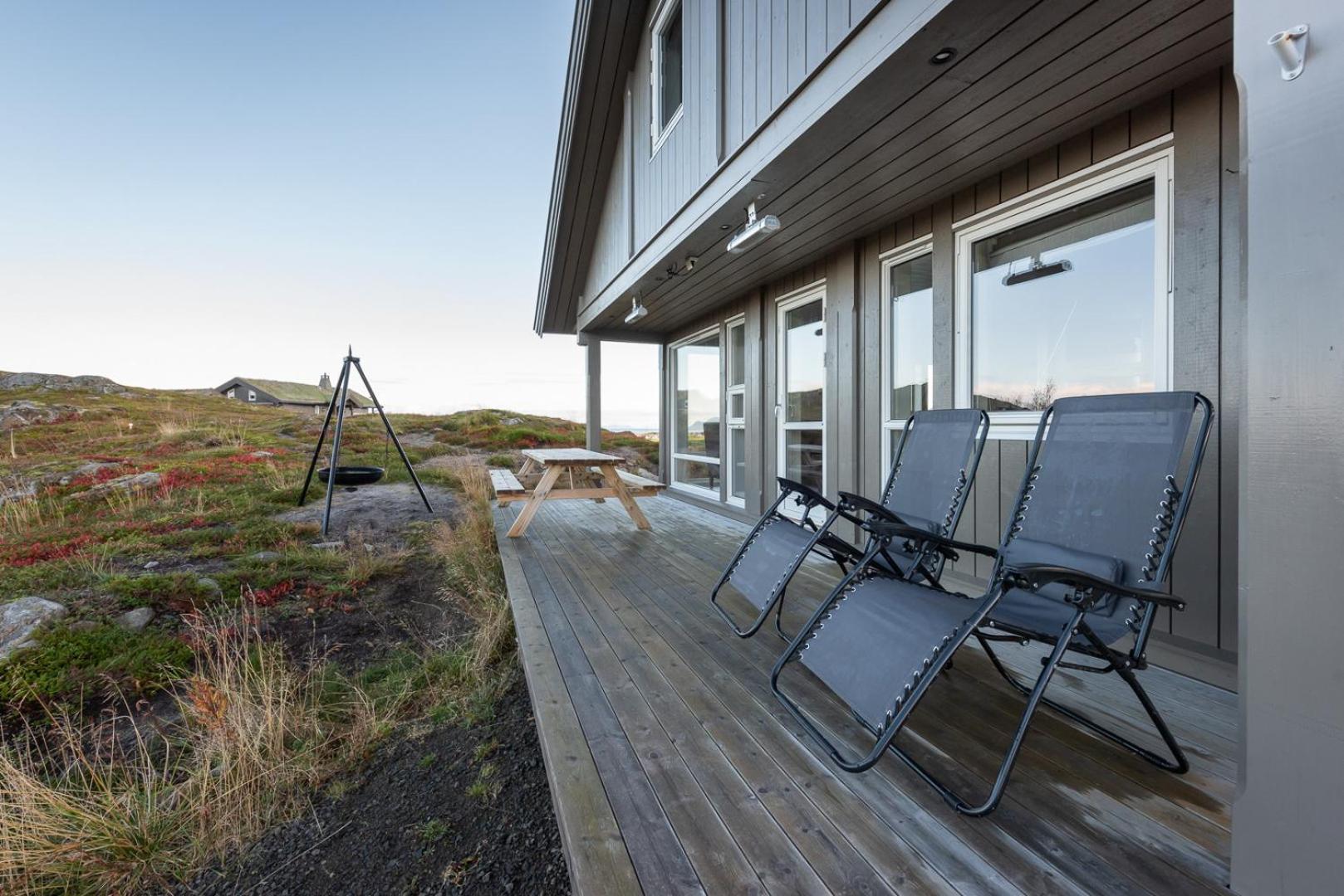 Midnightsun Aurora Golf Horses