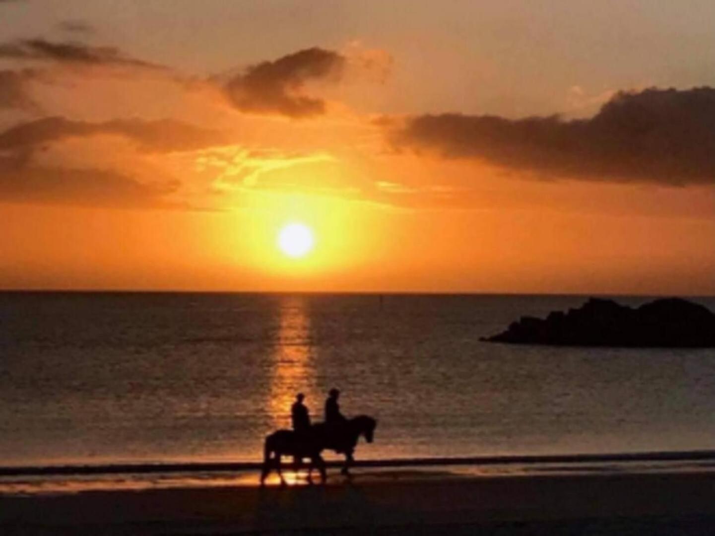 Midnightsun Aurora Golf Horses Holiday home *